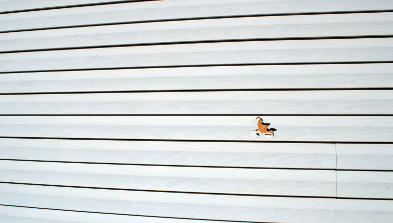 Local Siding Repair Experts